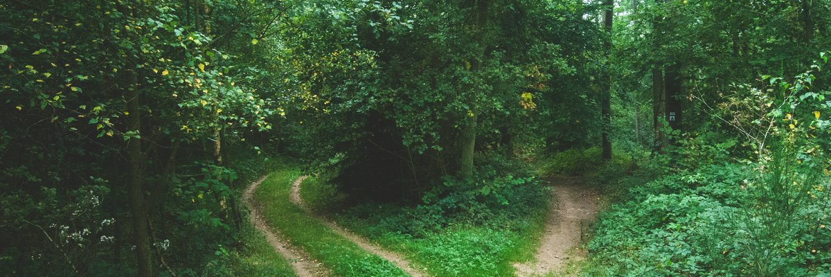 Abstract compass and wayfinding imagery